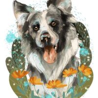blog-logo