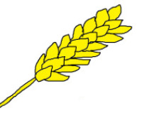 blog-logo