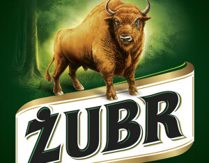 Żuber