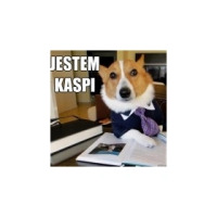 Kaspi