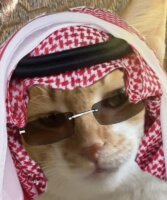 Lawrence of Arabia