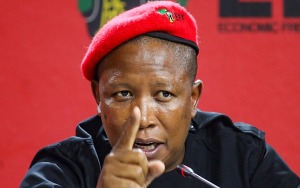 Julius Malema