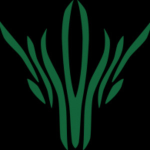 silvus