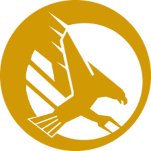 Gullfounder