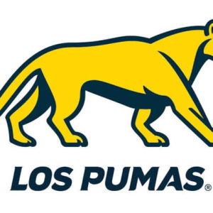 Rugbyem