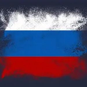 bashkiborg