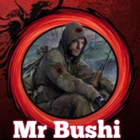 Mr Bushi