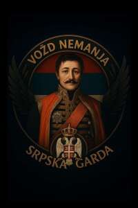 VozdNemanja